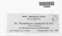 Physalospora lepachydis image